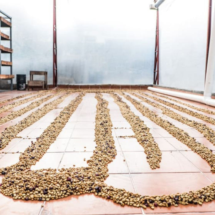Aquiares Honey Filter