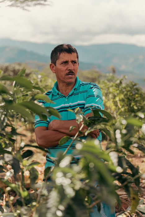 Villa Betulia Espresso