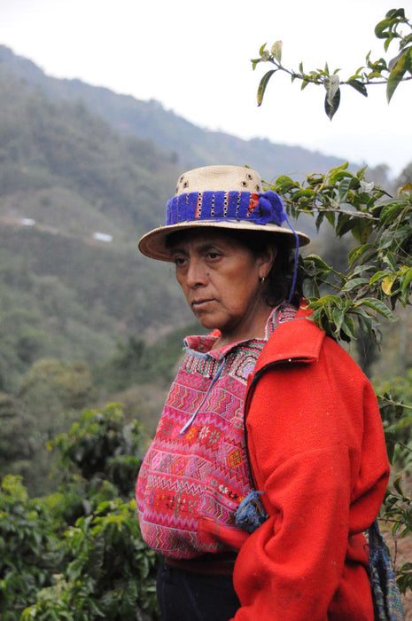 Women CODECH Guatemala  Espresso