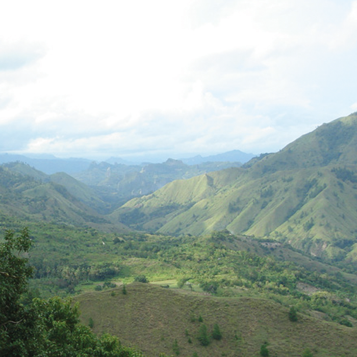 Kerinci Honey Filter