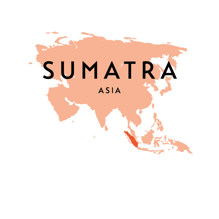 Kerinci Honey Filter